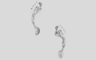 Una vocación que dejará huella